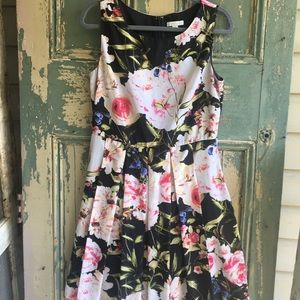 Pink and Black Floral Fit and Flare Dress